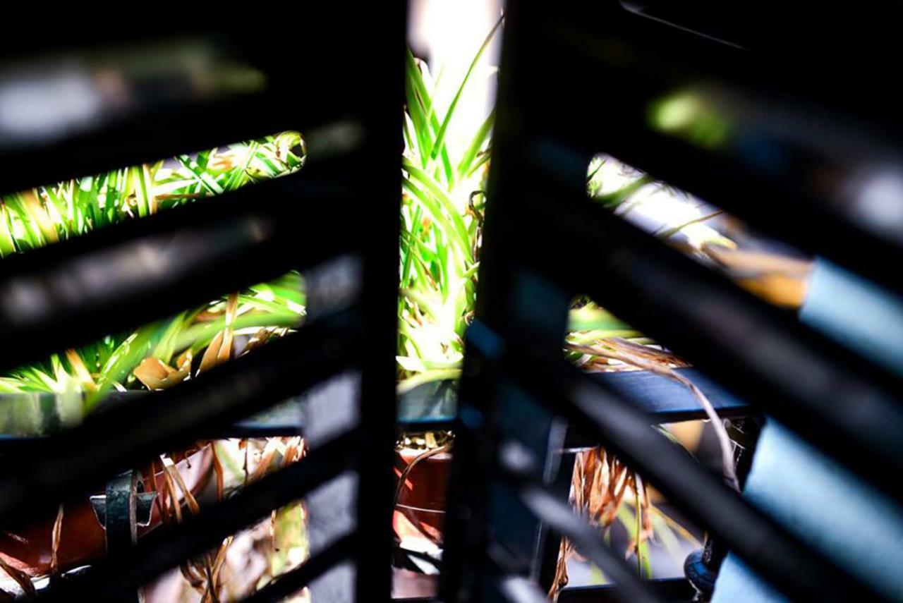 Casa Alfalfa 2 Dormitorios Terraza Y Solarium Privado Sewilla Zewnętrze zdjęcie