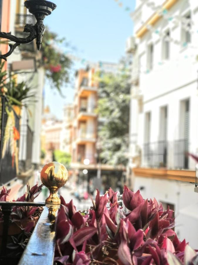 Casa Alfalfa 2 Dormitorios Terraza Y Solarium Privado Sewilla Zewnętrze zdjęcie