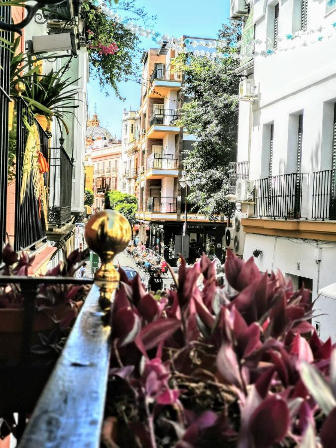 Casa Alfalfa 2 Dormitorios Terraza Y Solarium Privado Sewilla Zewnętrze zdjęcie